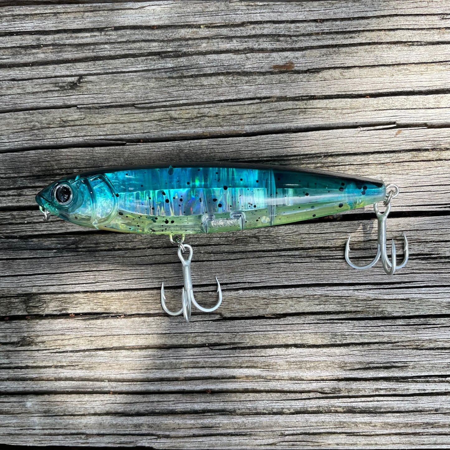 Sardine Topwater Pencil